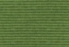 tretfordteppich apfelgruen gesundbaumarkt muenchen